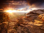 Summer wallpapers36